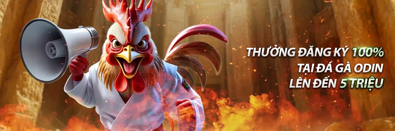 Sảnh Đá gà Trực tuyến vic68 với các trận đấu kịch tính và người xem hò reo